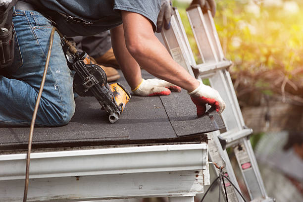Best Roof Gutter Cleaning  in Tipton, MO